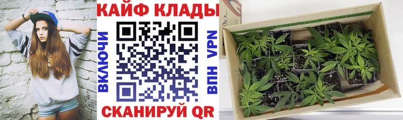 Как найти наркотики Первомайск Cocaine Мефедрон СК ГАШ