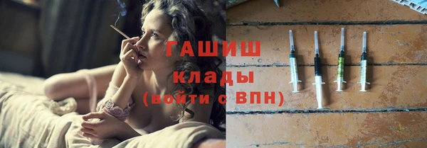 индика Горно-Алтайск