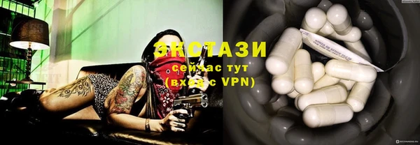 индика Горно-Алтайск