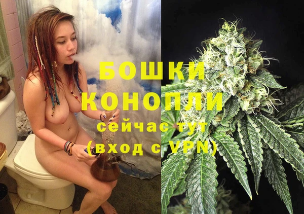хмурый Горняк
