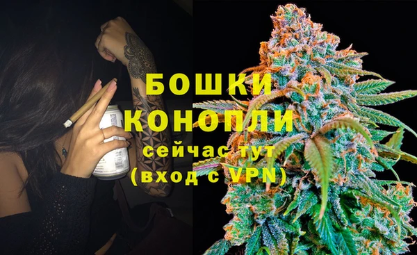 СК Горнозаводск