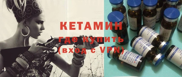 индика Горно-Алтайск