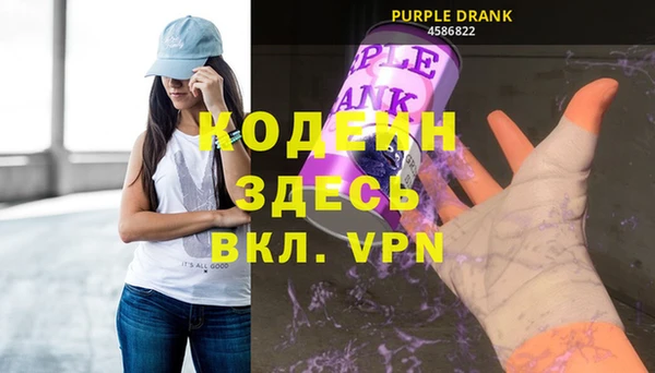 индика Горно-Алтайск